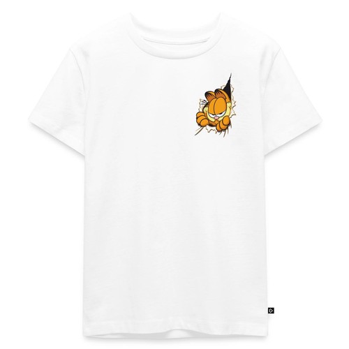 Garfield hier ist - garfield,