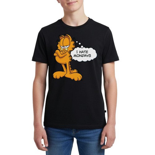 Garfield ich hasse montage - garfield,